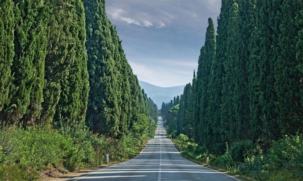 Agriturismo Ss Annunziata San Vincenzo Ngoại thất bức ảnh