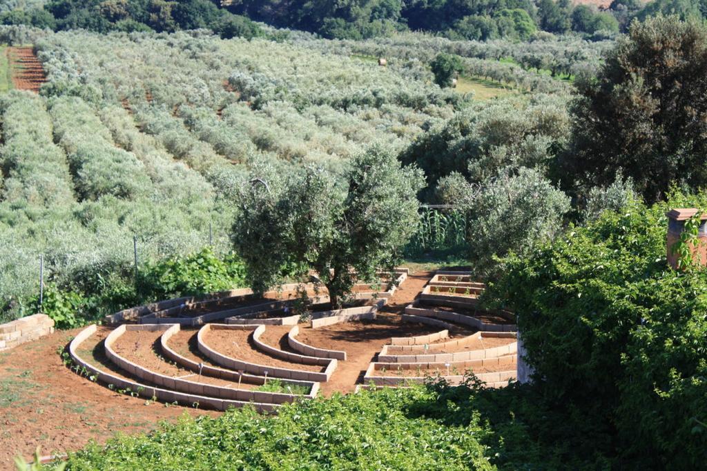 Agriturismo Ss Annunziata San Vincenzo Ngoại thất bức ảnh