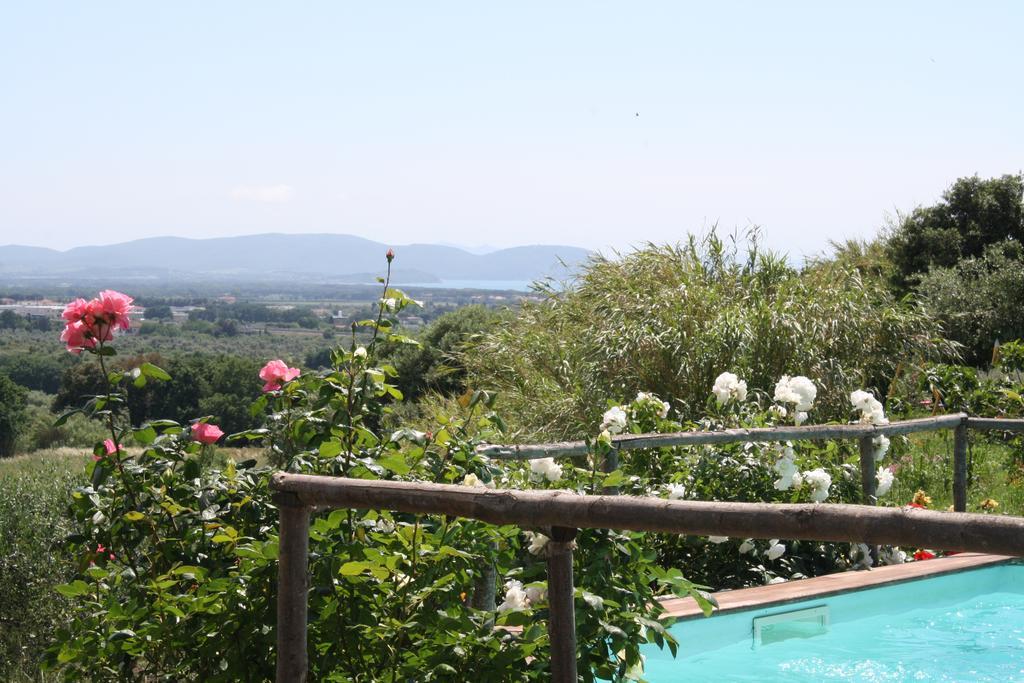 Agriturismo Ss Annunziata San Vincenzo Ngoại thất bức ảnh