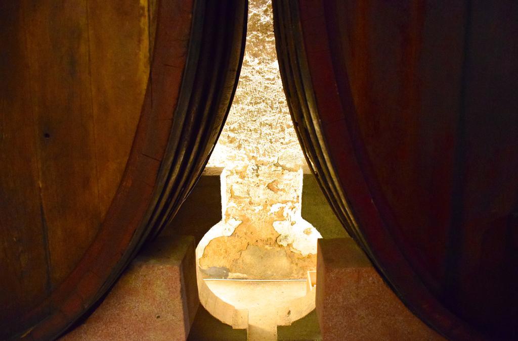 Agriturismo Ss Annunziata San Vincenzo Ngoại thất bức ảnh