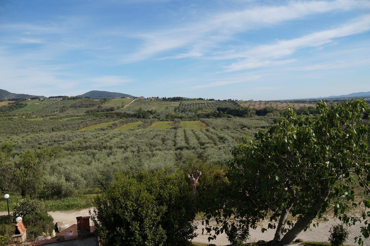 Agriturismo Ss Annunziata San Vincenzo Ngoại thất bức ảnh